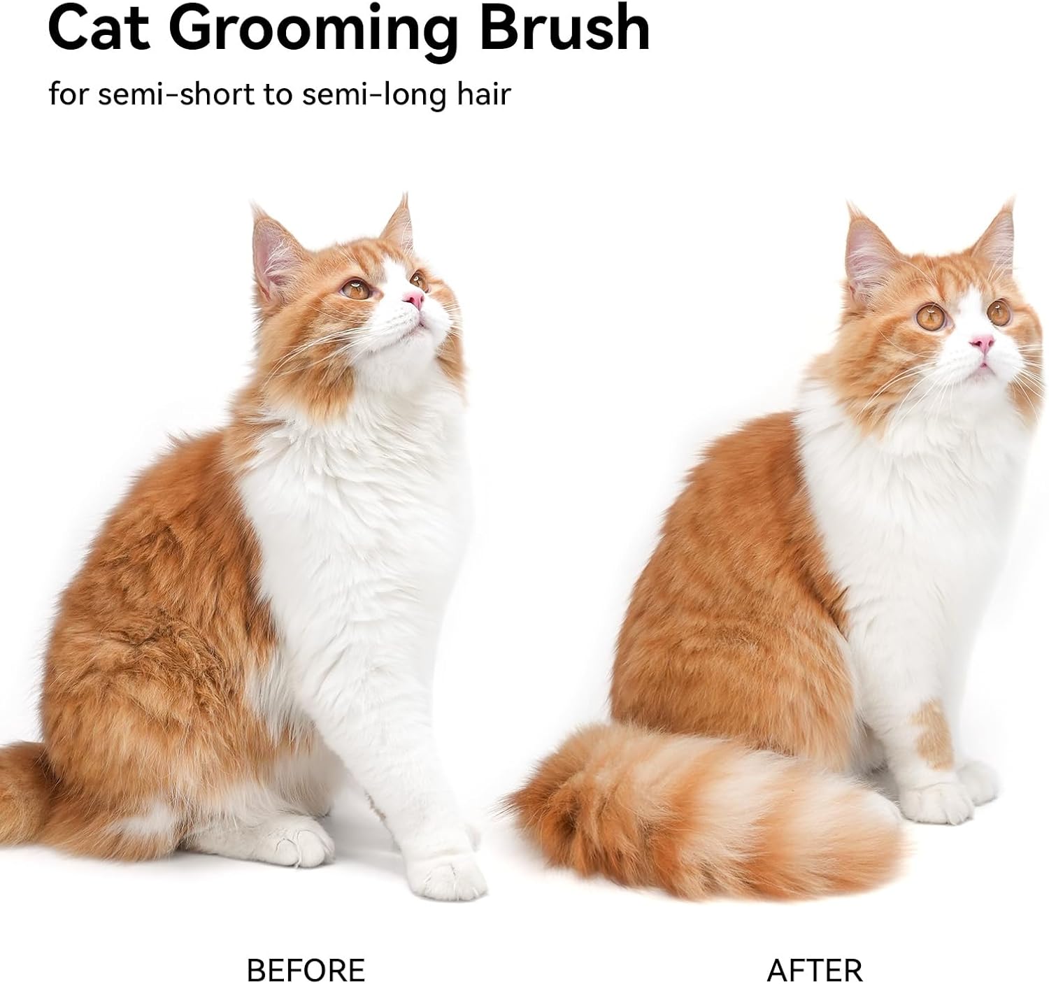 Cat Brush for Shedding, Cat Brushes for Indoor Cats, Cat Brush for Long or Short Haired Cats, Cat Grooming Brush Cat Comb for Kitten Rabbit Massage Removes Loose Fur