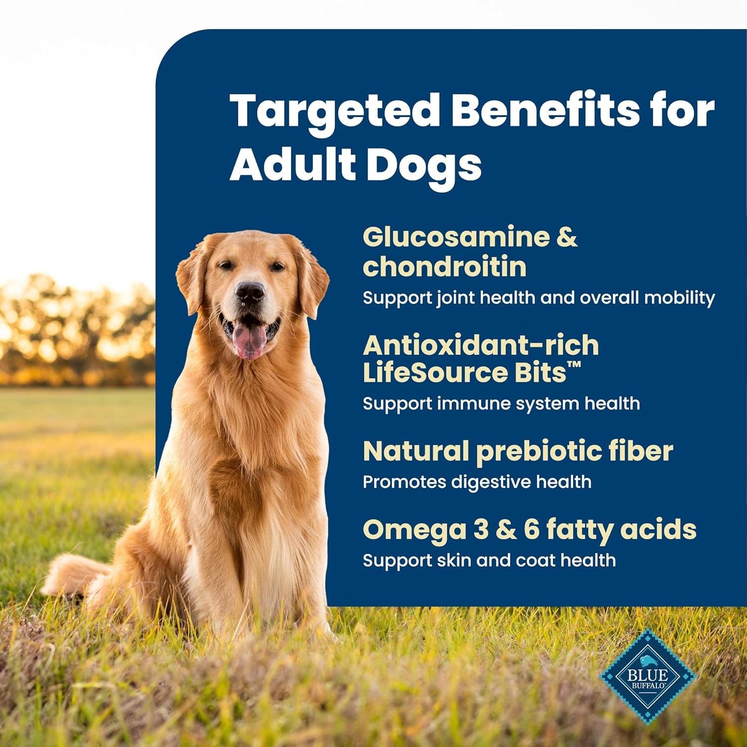 Life Protection Formula Chicken & Brown Rice Adult Dry Dog Food, Supports Immunity with Antioxidant-Rich Lifesource Bits, Promotes Healthy Muscle Development, Skin & Coat Health, 5 Lbs.