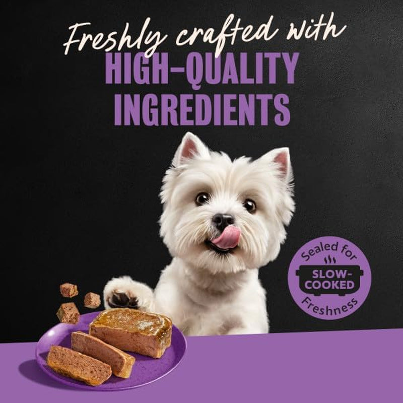 Wet Dog Food Classic Loaf in Sauce Grilled Chicken, Filet Mignon, Porterhouse Steak, Beef, Chicken & Liver and Turkey Variety Pack 3.5 Oz. Easy Peel Trays (36 Count, Pack of 1)